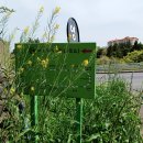 영평상동 마을회관 이미지