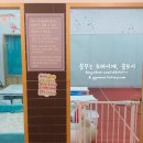 꿈꾸는키키