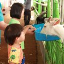 이기목장 이미지