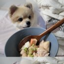 서울햇빛동물병원 이미지