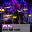 부경사 | 아이와 가볼만한곳 광명동굴 후기, 입장료 할인부터 VR체험 놀거리까지