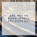 잠실보청기