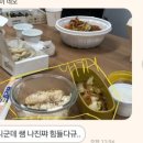 모브핏(Mauve Fit) 이미지