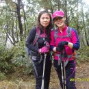 정기농장 이미지