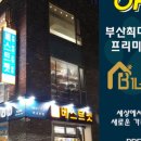 부산강아지분양 고양이분양 베스트펫 본점 네이버블로그