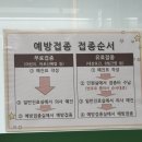 무안군보건소 | 베트남 여행 대비 무안군 보건소 장티푸스 무료 예방접종 후기