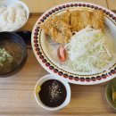 정입면