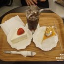 헤미스베리 이미지