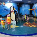 오투아일랜드 이미지