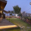 애견천국 이미지