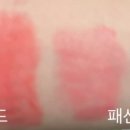 샤인후르츠 - 성동구 고산자로 203 | 샤인후르츠
