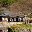 동백산방 | 진도 겨울 여행 | 동백꽃에 머무는 시간, 운림산방과 쌍계사