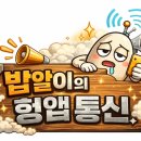 카멜레온통신