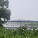 청도천10 이미지