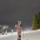 평창섬유 | 스키 911_평창 대관령 | 용평스키장 후기 | 용평스키렌탈 / 용평스키강습