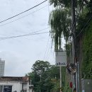 나드리까페 이미지