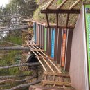 거창 항노화 힐링랜드 이미지