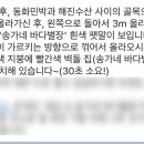 송가네 바다별장 네이버블로그