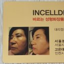인셀덤르네상스