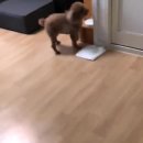 충남종합동물병원 이미지