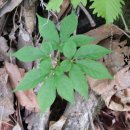 금산4구 이미지