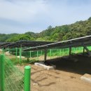 진영2호태양광발전소 이미지