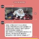 하트동물의료센터 이미지