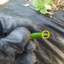 성근농장 이미지