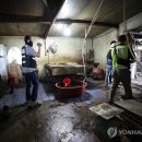 춘천시동물보호센터 이미지