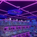 메가오락실 건대점 이미지