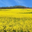 만금농장 이미지