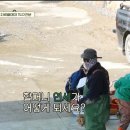 연세복사 이미지
