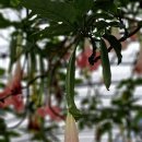 개간지천 이미지