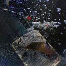 해적낚시까페 이미지