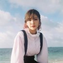 안지영 카카오 검색결과