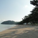 대전해수욕장2 이미지