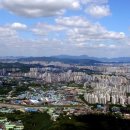 하남-신장-신장9호 이미지