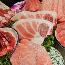 사조회참치 이미지