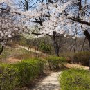 원적산공원 이미지