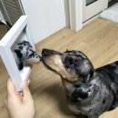 꼼지락다락방 이미지