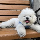 나나의 하루 이미지