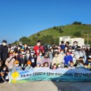 도평초등학교 이미지