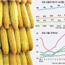 곡물농장 이미지