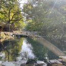 늘소나무산장 이미지