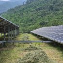 예지 태양광발전소 이미지