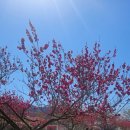 도진농장 이미지