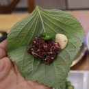와라횟집 | 선릉역 막회 맛집 역삼 연중무휴 횟집은 복돈이막회