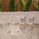 명동연세의원 이미지