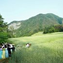 김씨네민박 이미지