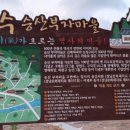 지수남명진취가 이미지